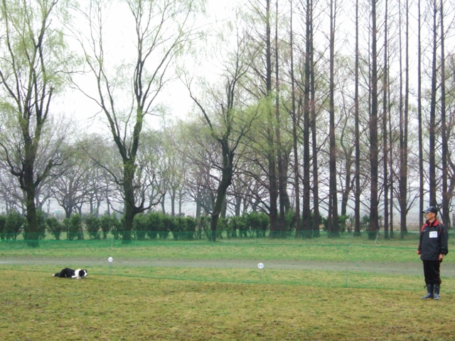 f0054290_2381768.jpg