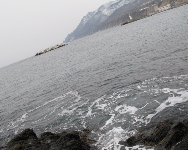 b0110205_22442033.jpg