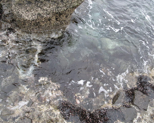 b0110205_22454443.jpg