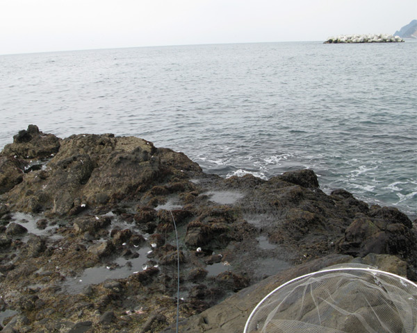 b0110205_22465682.jpg