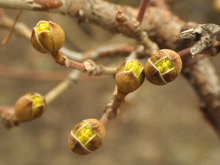 f0041606_20551173.jpg