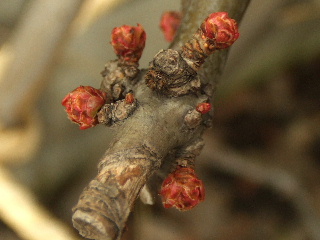 f0041606_2121151.jpg