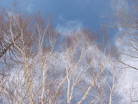 a0041508_23495627.jpg
