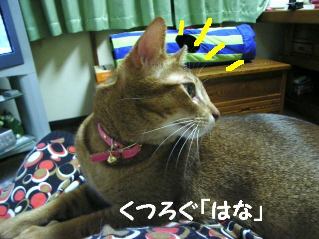 d0081025_1954512.jpg