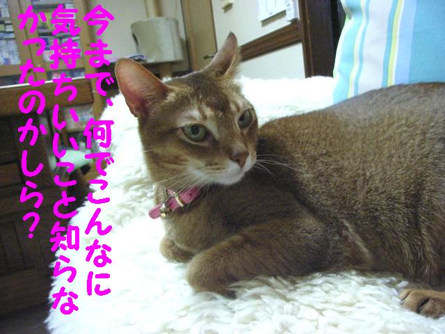 d0081025_19575065.jpg