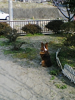 c0020526_1992439.jpg