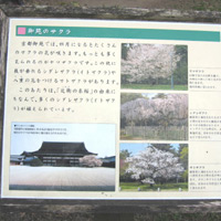 d0033734_1916489.jpg