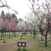 d0033734_19275188.jpg