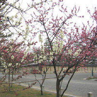 d0033734_19281541.jpg