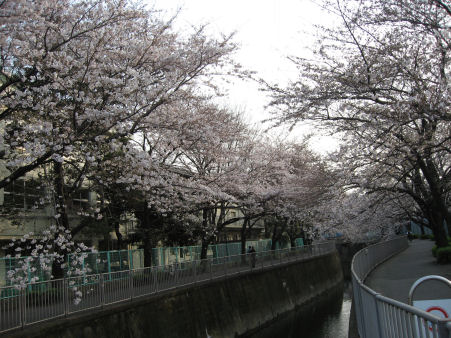 c0033145_22374119.jpg