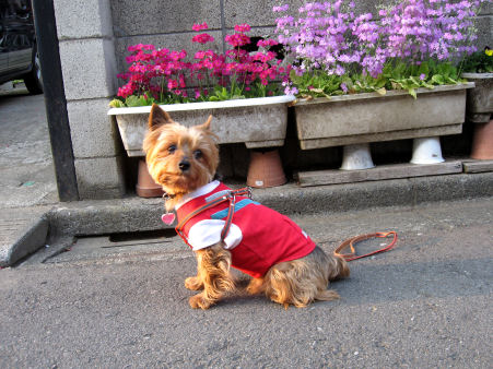 c0033145_2248525.jpg