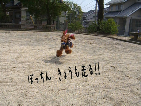 c0115145_14595359.jpg