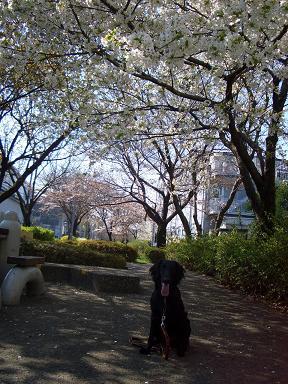 f0107145_12574589.jpg