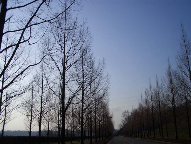 e0002850_22112291.jpg