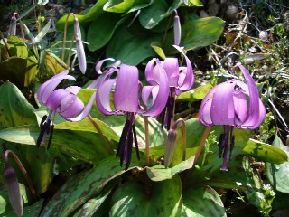 f0091250_2193581.jpg