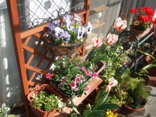 c0081552_12292917.jpg
