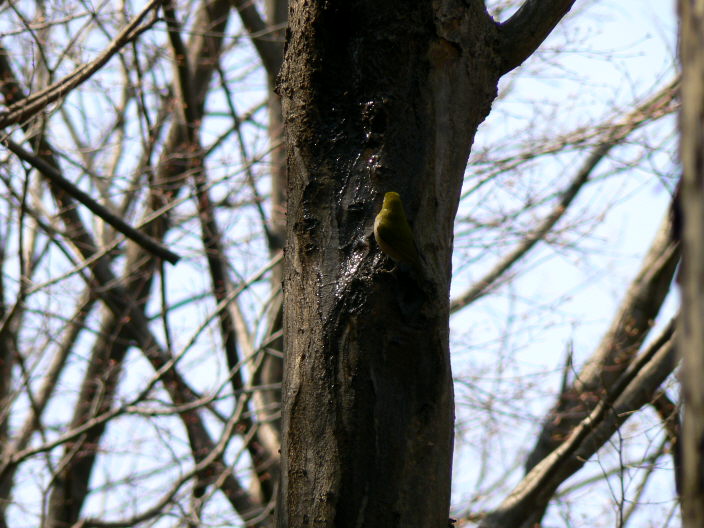 d0091754_52417.jpg