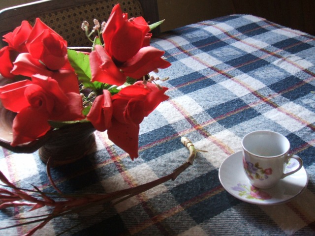 a0017161_88490.jpg