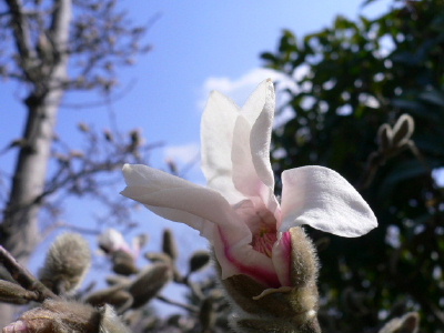a0063364_0264968.jpg