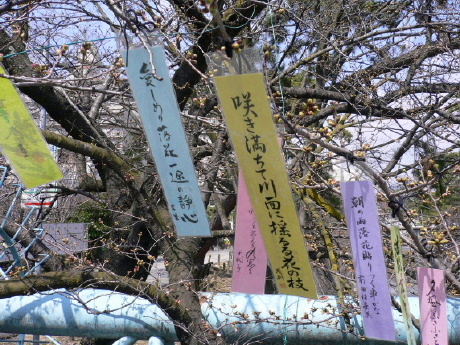 a0063364_0283870.jpg
