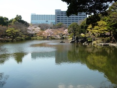 c0102268_2119427.jpg