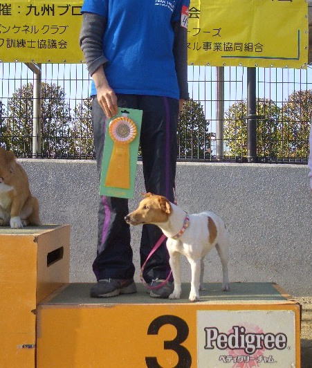 f0120770_161697.jpg