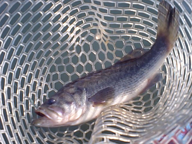 a0093677_2330432.jpg