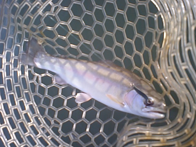 a0093677_23321132.jpg
