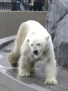 d0038679_0464597.jpg
