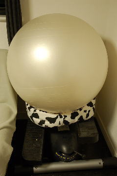 b0041182_21452529.jpg