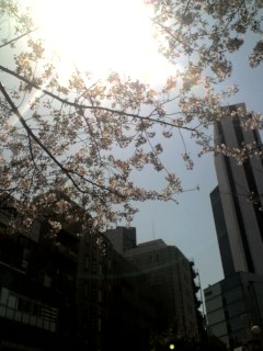 a0032384_1521065.jpg