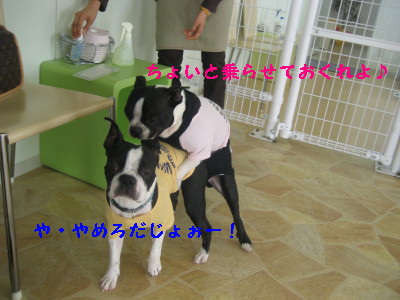 c0092787_11501770.jpg