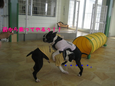 c0092787_11511593.jpg