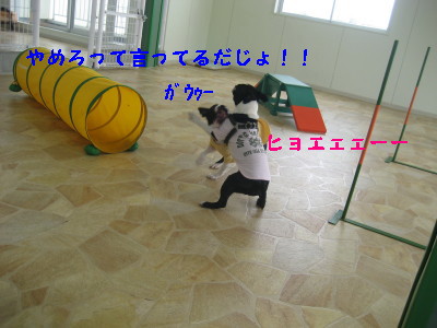 c0092787_11523652.jpg