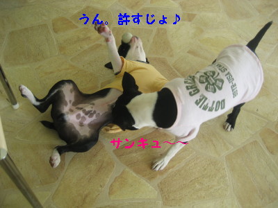 c0092787_1203389.jpg