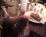 c0095091_1383394.jpg