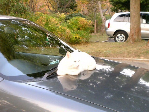 c0106491_958169.jpg