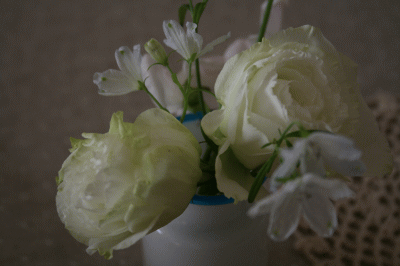 d0100192_21222375.gif