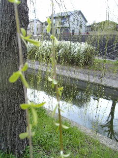 e0111793_23161630.jpg