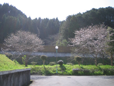 a0091098_16442739.jpg