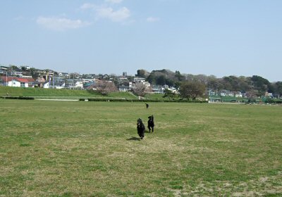 c0050400_16114498.jpg