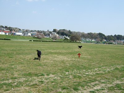 c0050400_16435719.jpg