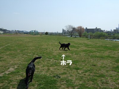 c0050400_16474773.jpg