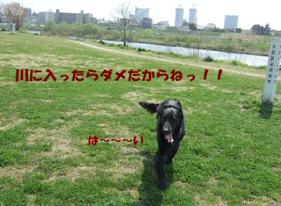 c0050400_16495590.jpg