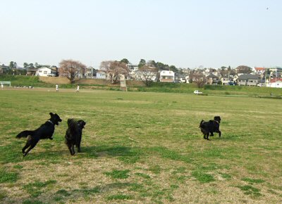 c0050400_17585782.jpg