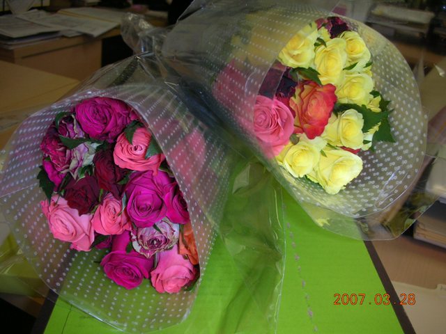 e0103700_5244843.jpg
