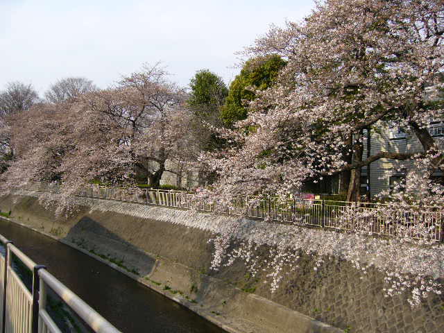 d0070702_20112.jpg