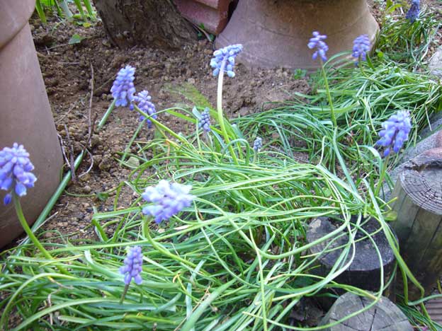 e0018604_17322361.jpg