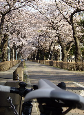 a0091314_1023178.jpg