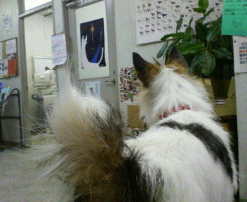 a0089120_21534270.jpg